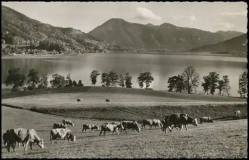 Blick auf den Tegernsee von Kaltenbrunn bei Gmund gl1957 139.670