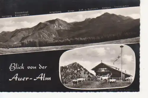 Bad Wiessee am Tegernsee Berggasthof Auer-Alm ngl 215.698