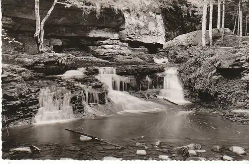 Monbachschlucht bei Bad Liebenzell im Schwarzwald ngl C7785