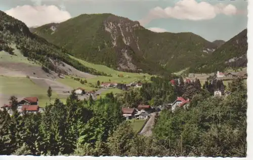 Weissbach/Oberbayern Panorama Blick zum Rauschberg ngl 215.722