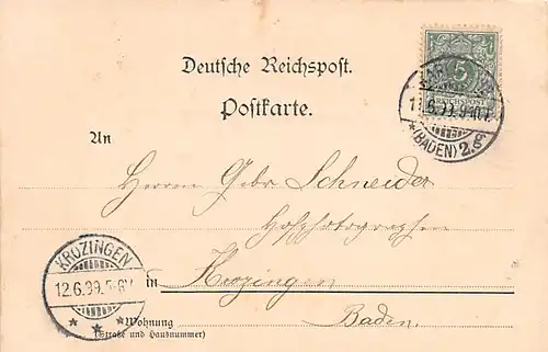 Karlsruhe Gruß aus dem Stadtgarten gl1899 140.598