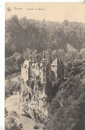 Dinant Château de Walzin feldpgl1915 C7500