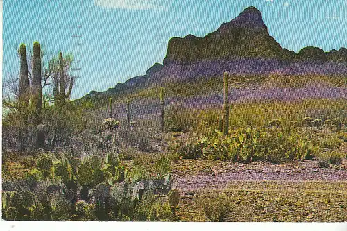 USA Picacho Peak, Arizona gl1965 C7706