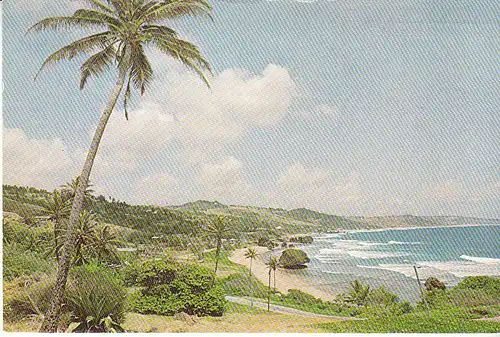 BDS Bathsheba Coast gl1985 C7524