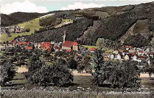 Oberharmersbach Panorama ngl 140.757