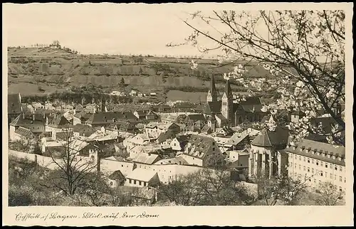 Eichstätt Panorama Blick auf den Dom gl1953 138.184