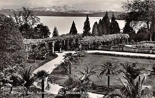 Insel Mainau (Bodensee) Palmengarten mit Schweizer Alpen ngl 140.933