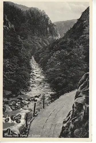 Thale/Harz Partie im Bodetal gl1938 C7986