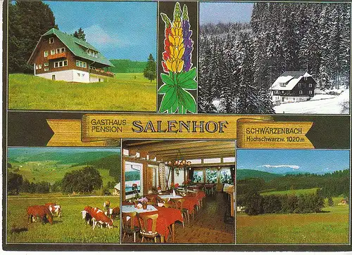 Titisee-Schwärzenbach Schwarzwald Gasthaus Salenhof nglWerbekarte C9976