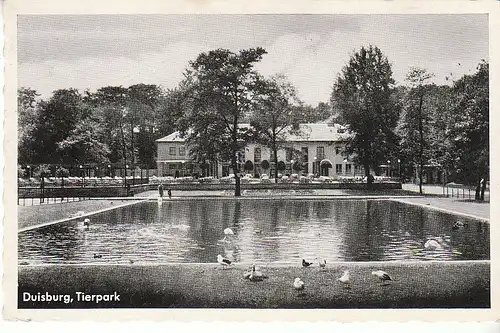 Duisburg Im Tierpark gl1956 C8446