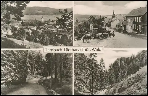 Tambach-Dietharz Teilansichten gl1964 139.013