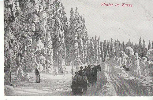 Winterliche Schlittenfahrt im Harz ngl C7948