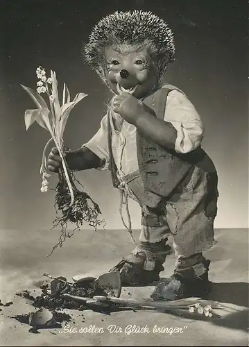 Mecki 26: Sie sollen Dir Glück bringen ngl 138.650