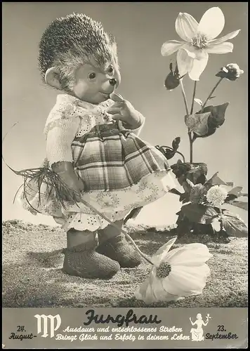 Mecki 509: Sternzeichen Jungfrau gl1968 138.651