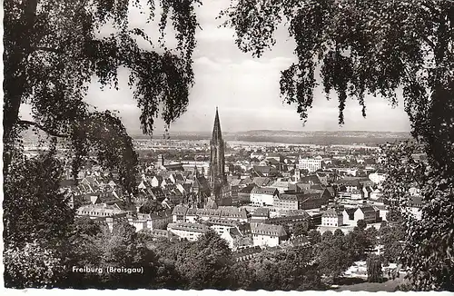 Freiburg i.Breisgau Blick über die Stadt ngl D0262