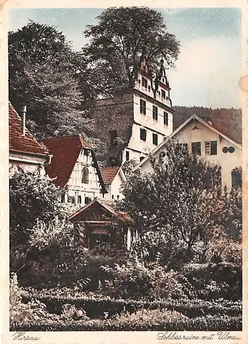 Hirsau Schlossruine mit Ulme ngl 141.971