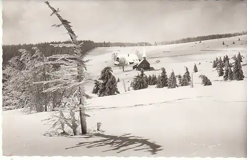 Berggasthaus Kandelhof Schwarzwald nahe St.Peter ngl C7968