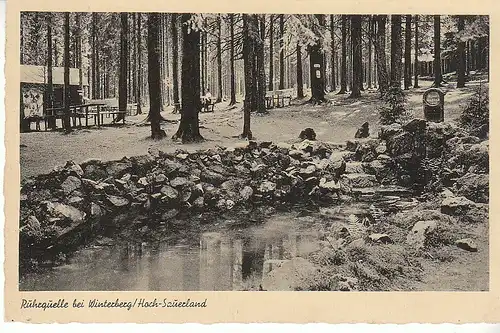 Ruhrquelle bei Winterberg im Hoch-Sauerland ngl C8462