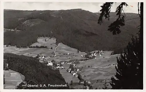 Obertal O.A. Freudenstadt Panorama gl1933 142.126