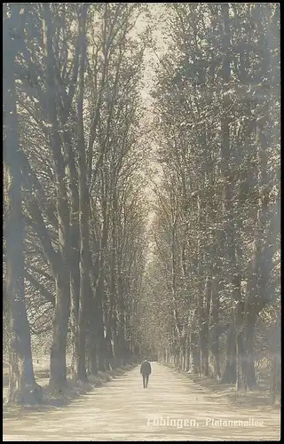 Tübingen Platanenallee ngl 139.815