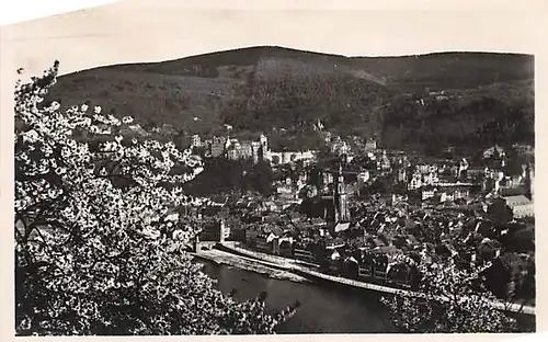 Heidelberg vom Philosophenweg aus gesehen ngl 144.971