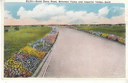 USA Sand Dune Road between Yuma and Imperial Valley, Calif. ngl C8283