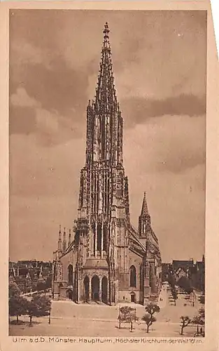 Ulm a.D. Das Münster ngl 145.024