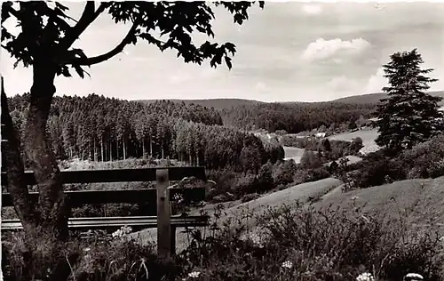 Dietersweiler bei Freudenstadt Blick ins Lautertal gl1967 144.373