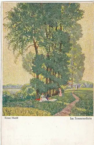 ERNST HARDT Im Sonnenschein ngl C8529