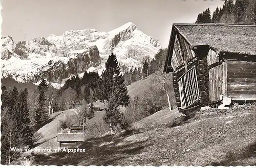 Weg in's Reintal mit Alpspitze ngl C8698