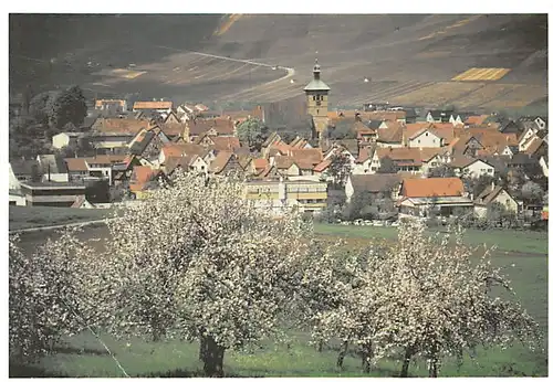 Eberstadt im Frühling Panorama ngl 141.457