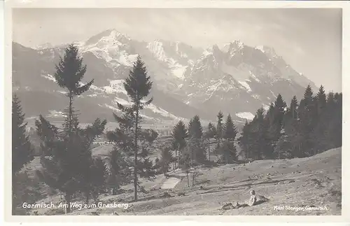 Garmisch Am Weg zum Grasberg ngl C8334