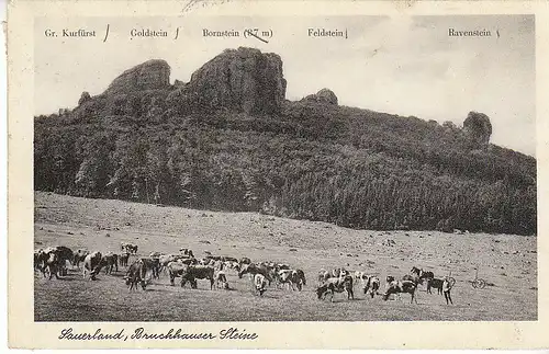 Sauerland, Bruchhauser Steine, Bruchhauser Rindvieh gl1950 C8444