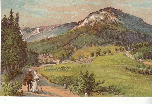 Grosser Inselsberg von der Grenzwiese gesehen Künstlerkarte gl1912? C8774