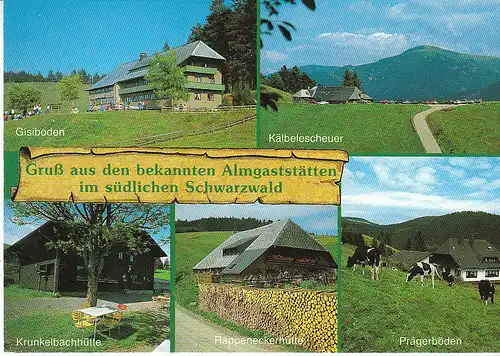 Bernau Schww. Gisiboden, Kälbelescheuer, Krunkelbachhütte, Prägerböden ngl C9878