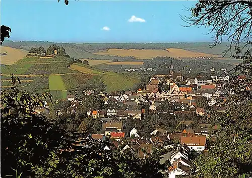 Weinsberg a.d. Weibertreu Panorama ngl 141.433