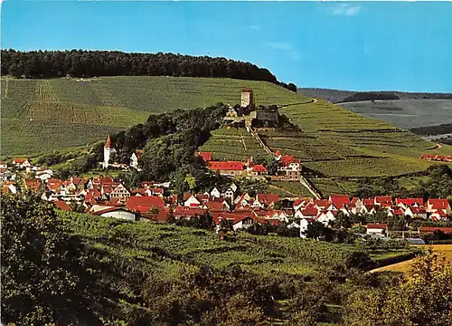 Beilstein im Bottwartal Panorama Burgfalknerei ngl 141.562