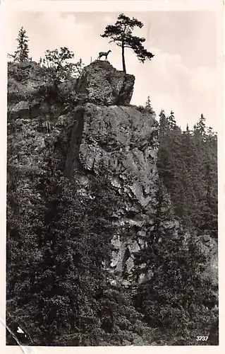 Im Höllental Hirschsprungfelsen gl1937 143.580