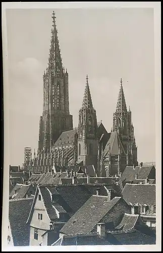 Ulm a.D. Münster ngl 139.858