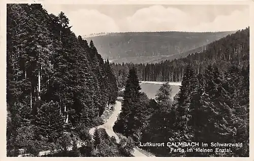 Calmbach Partie im kleinen Enztal gl1930 140.558