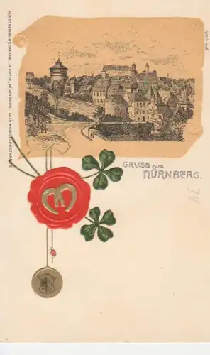 Nürnberg Blick auf die Burg Präge-AK ngl 217.133