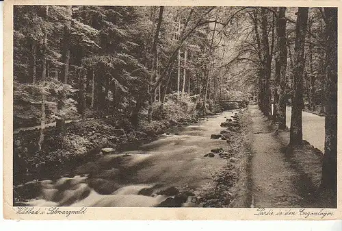 Wildbad Schwarzwald Partie in den Enzanlagen gl1930 D0342