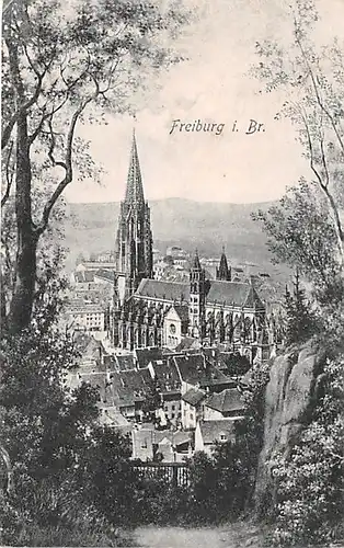 Freiburg im Breisgau Münster ngl 141.088