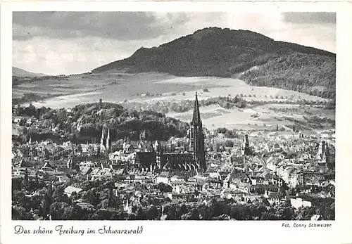 Freiburg im Breisgau Panorama ngl 141.098