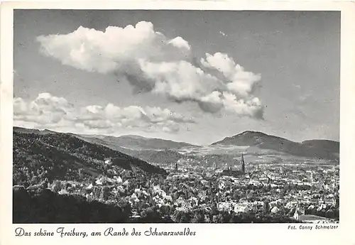 Freiburg im Breisgau Panorama ngl 141.093