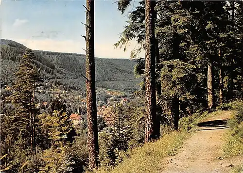 Bad Wildbad Blick vom Wald auf die Stadt gl1961 140.682