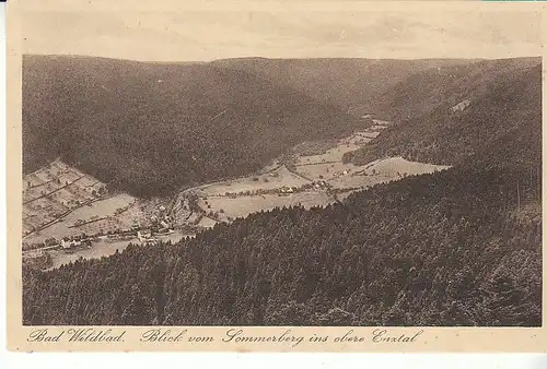 Bad Wildbad Blick vom Sommerberg ins obere Enztal gl1933 D0337