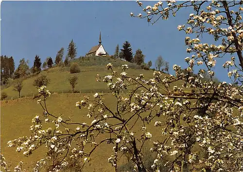 Mambach im mittleren Wiesental Wallfahrtskapelle Maria Frieden ngl 142.669