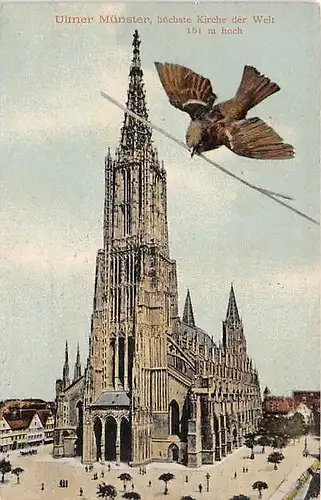 Ulm a.D. Münster gl1911 142.736