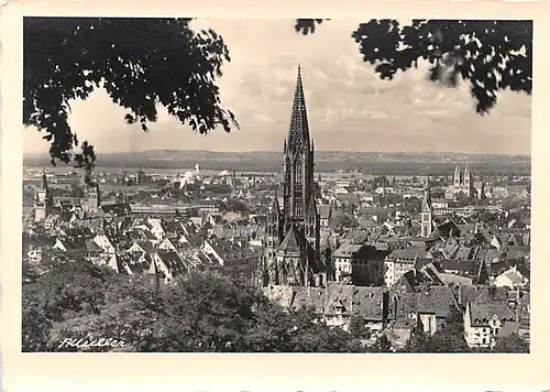 Freiburg im Breisgau Panorama mit Münster ngl 141.075